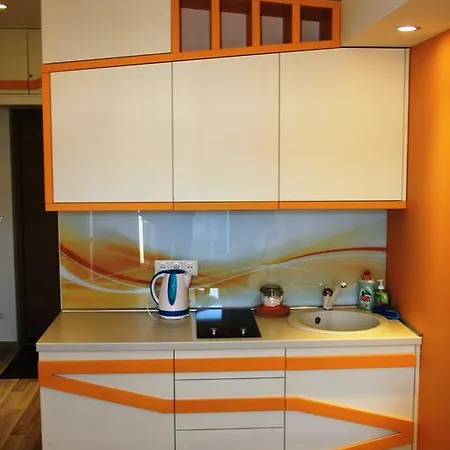 Microloft Near The Center 아파트